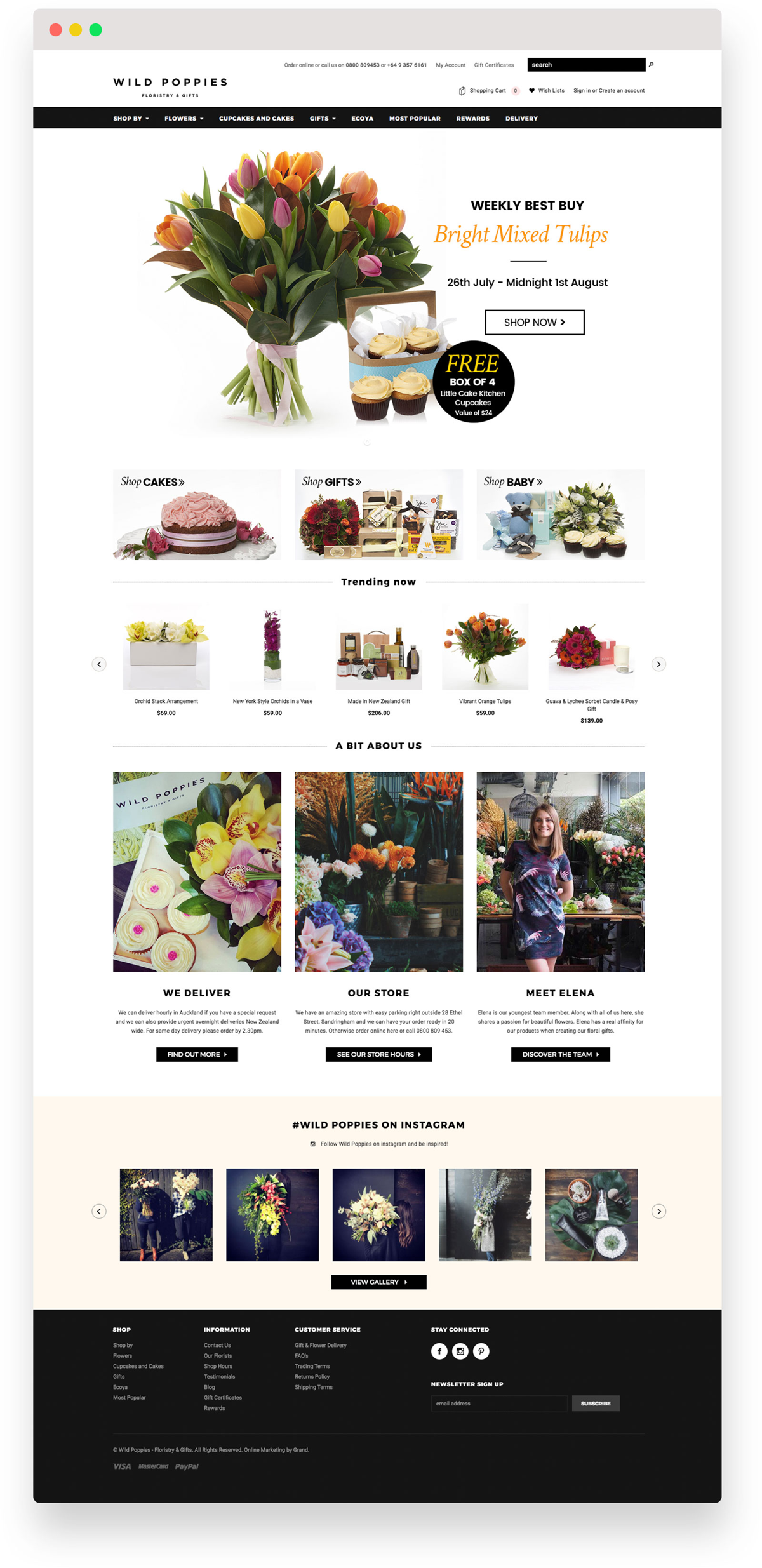 wild-poppies-page-mock